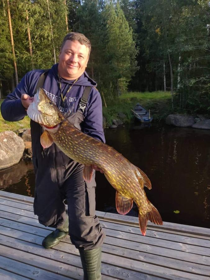 Viihtyisae Hirsimoekki Jaerven Rannalla Siikainen Exterior foto